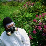 Asbestos Awareness Asbestos Training